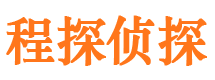 从江市侦探公司